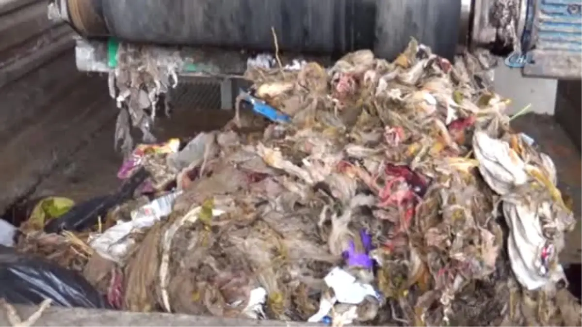 Belediyeden Çiftçilere Bedava Gübre