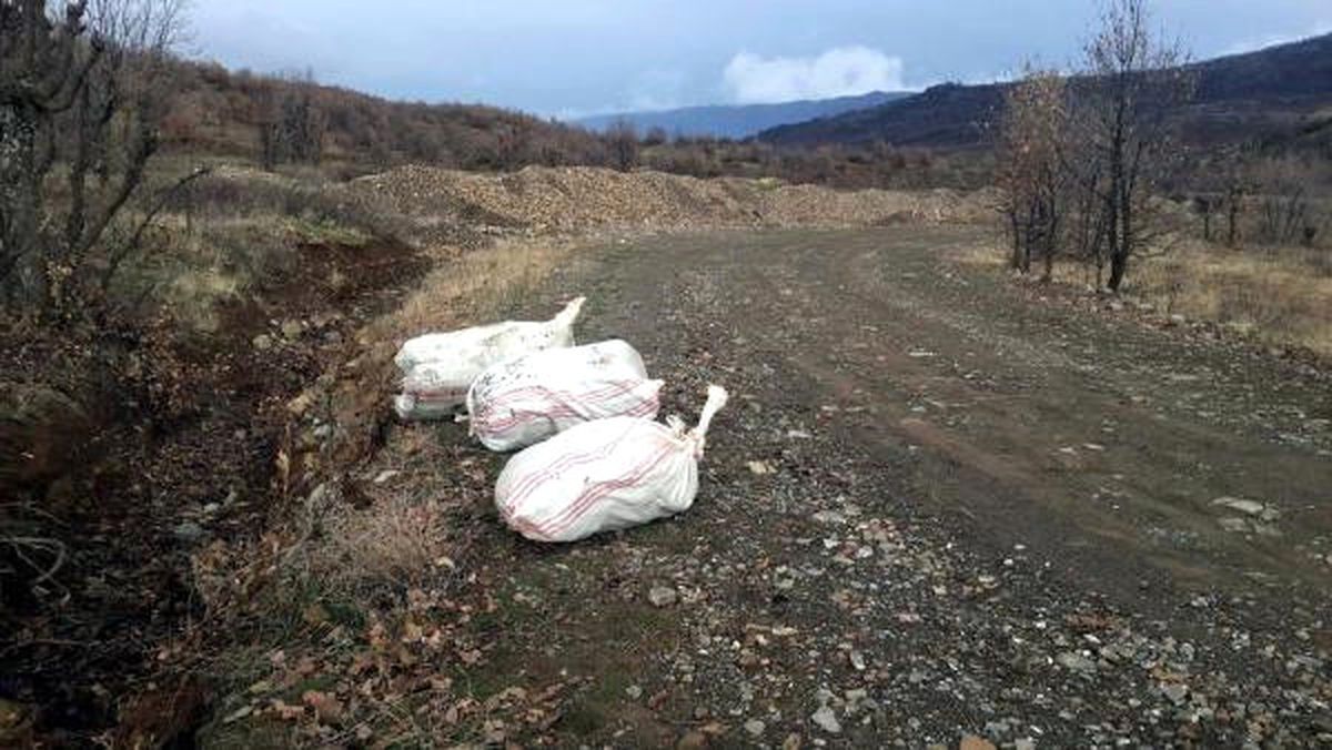 Elazığ\'da 63 Kilo Esrar Ele Geçirildi