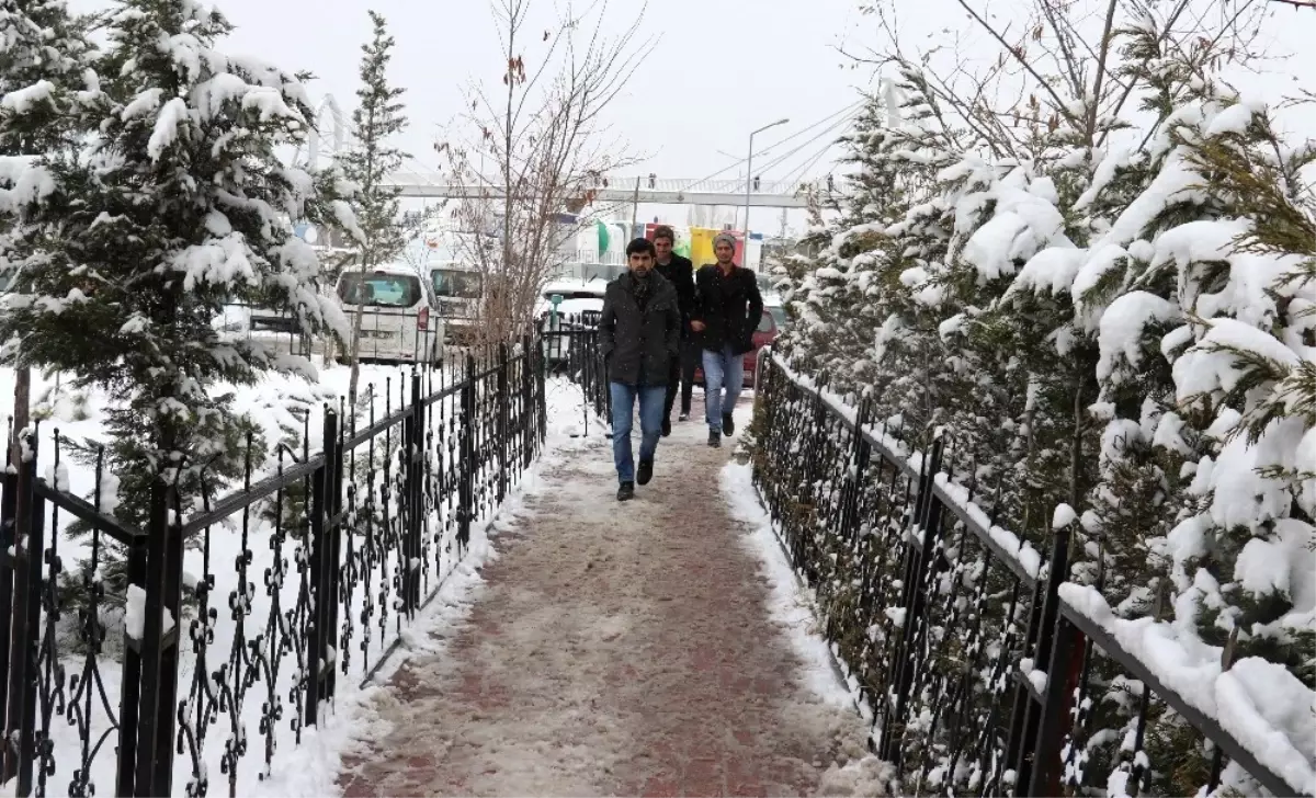 Kuşların Ekmek Kavgası