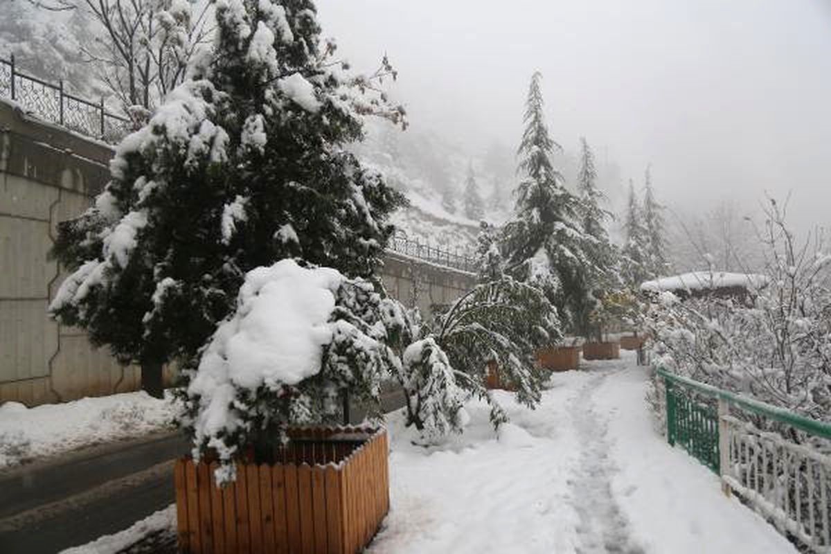 Artvin\'de Kar Esareti