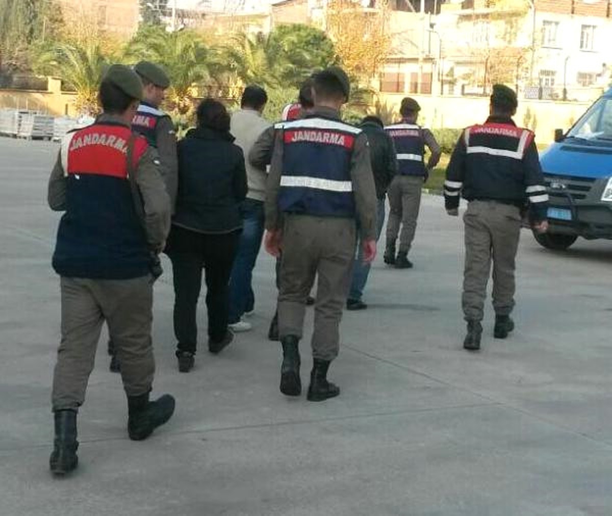 Aydın\'da Zeytin Hırsızlığına 4 Gözaltı