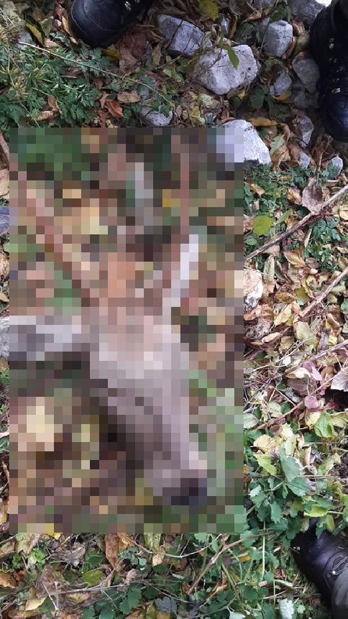 Kaçak Avlanan 7 Avcıya Toplam 31 Bin Lira Ceza