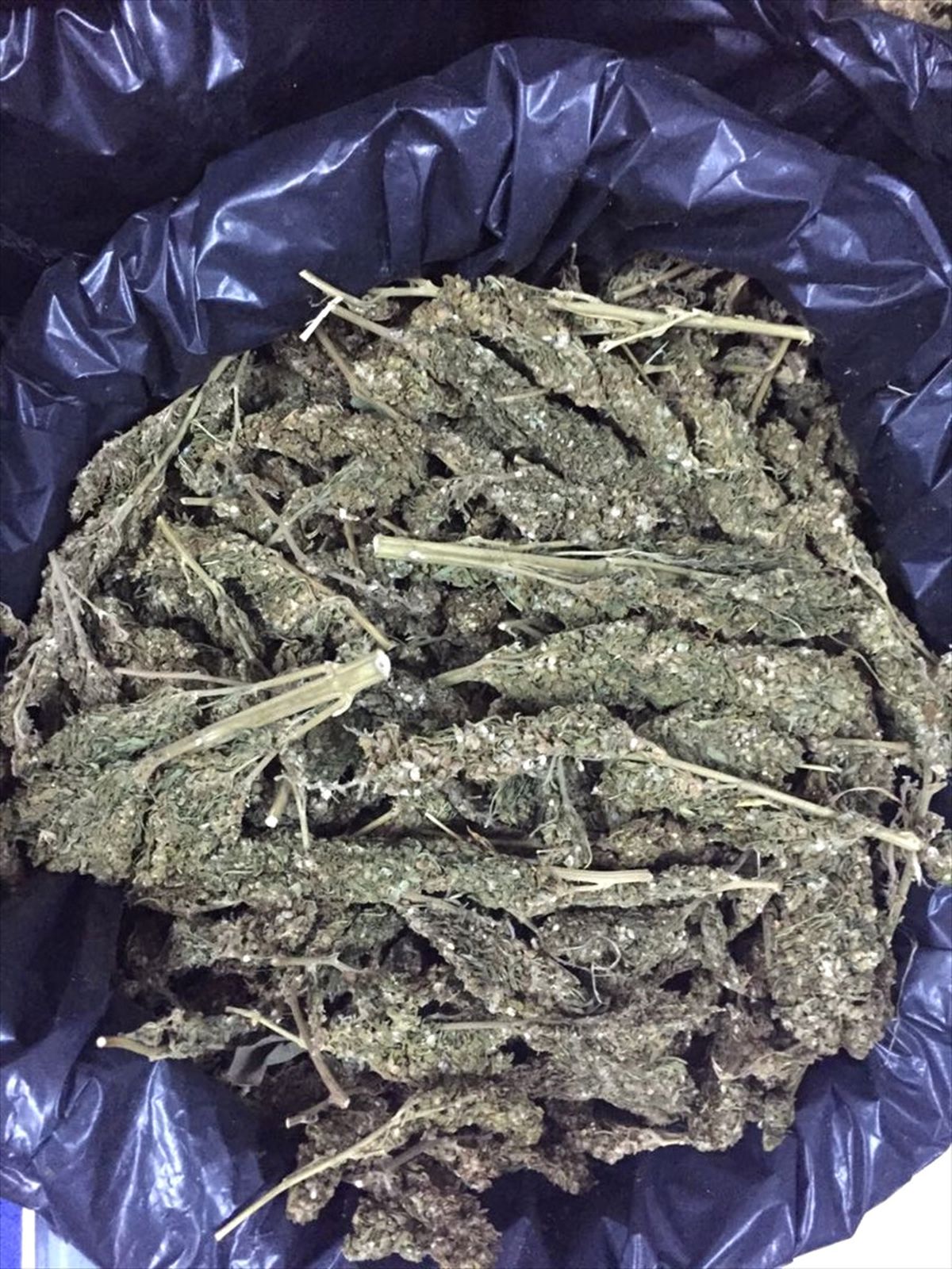 Şanlıurfa\'da 5 Kilo Esrar Ele Geçirildi