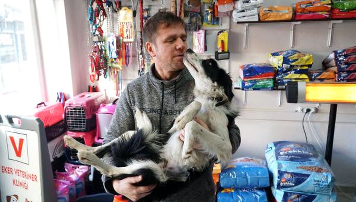 Veteriner, Yaralı Köpeği Tedavi Edip, Sahiplendi