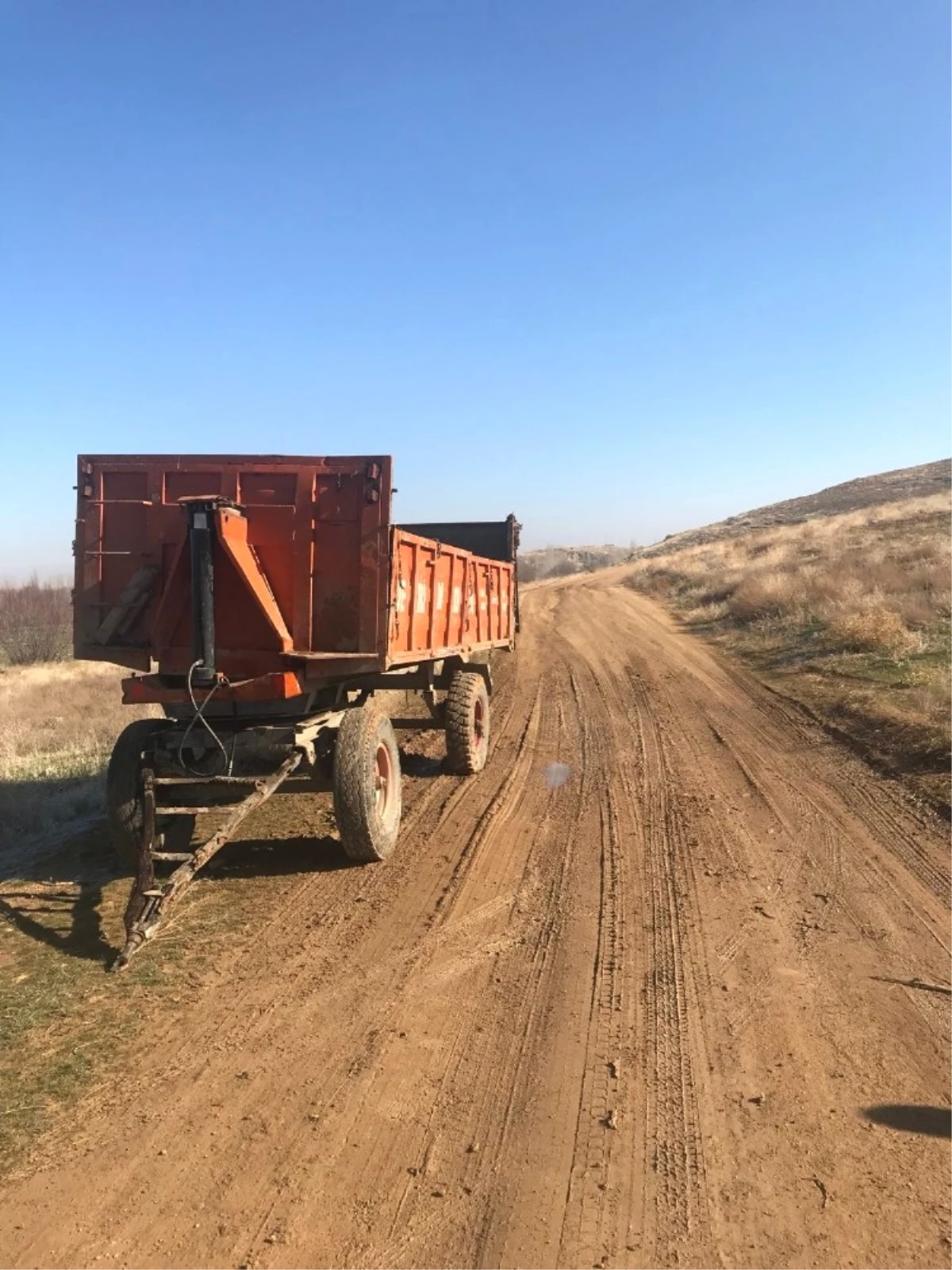 Çaldığı Şekerpancarlarını Fabrikaya Satarken Yakalandı