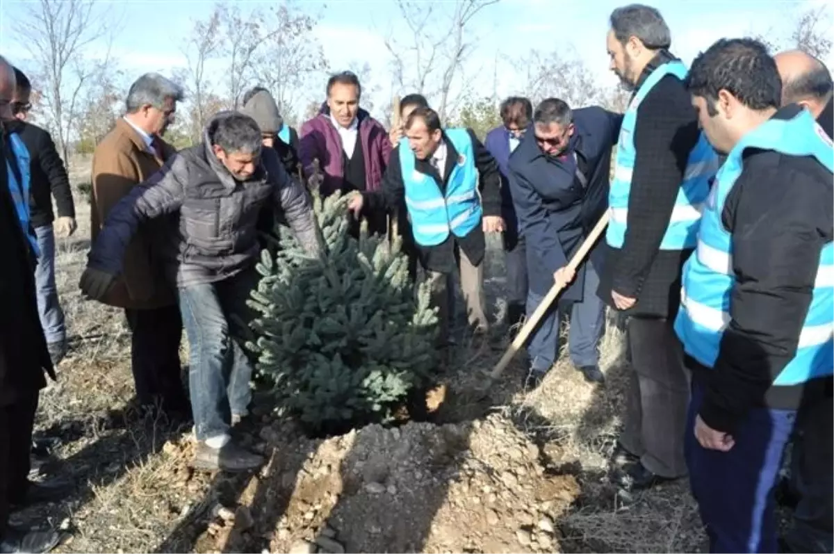 Müftü Kulaz, Hatıra Ormanına Ağaç Dikti