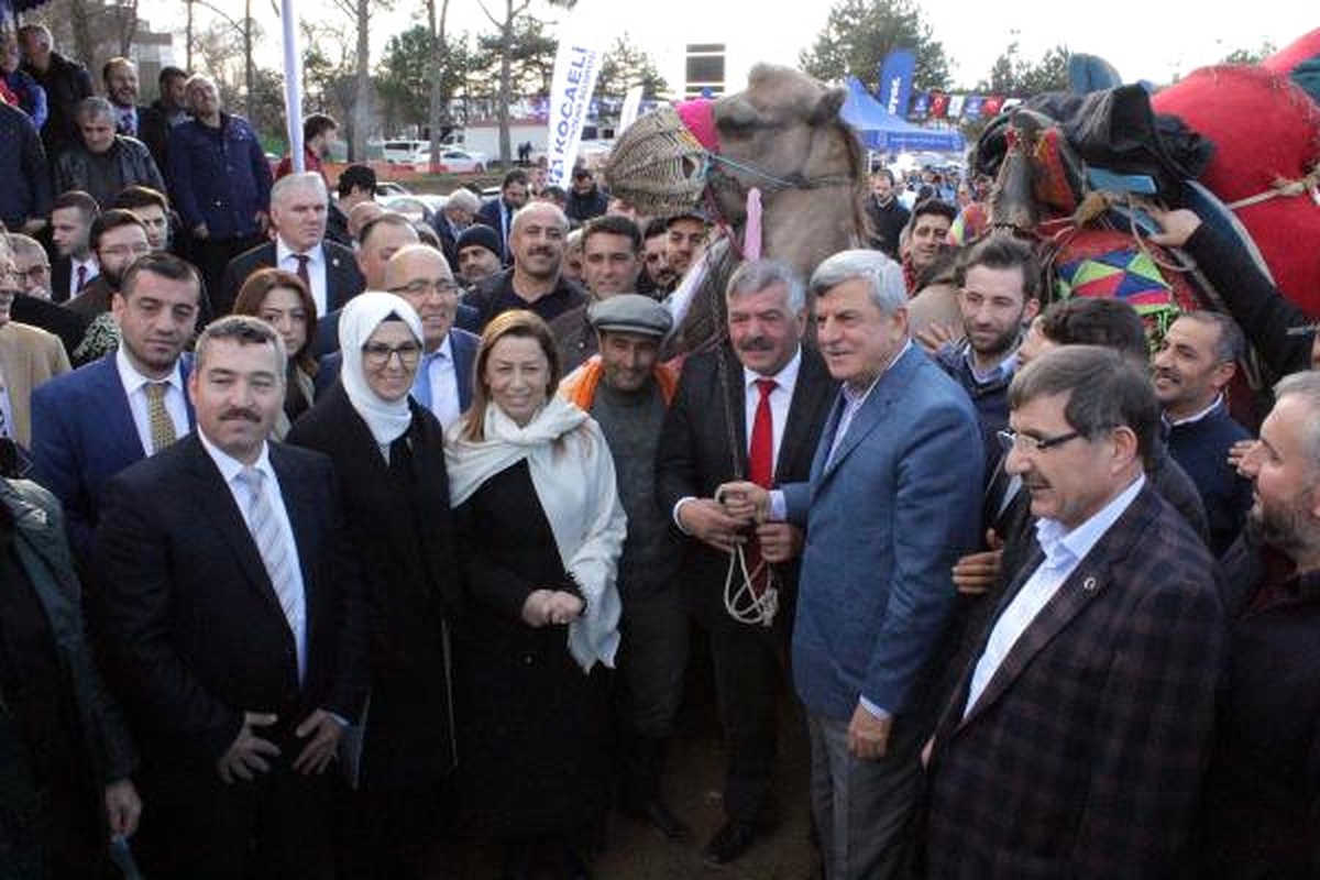 Tepki Nedeniyle Kesmekten Vazgeçtikleri Deveyi Belediyeye Hediye Ettiler