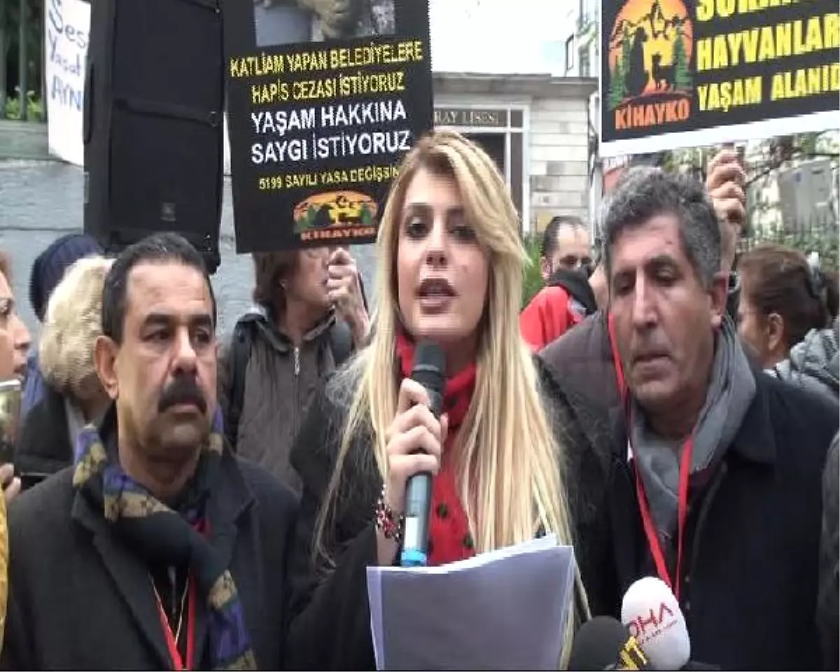 Hayvanlara Şiddet Protesto Edildi