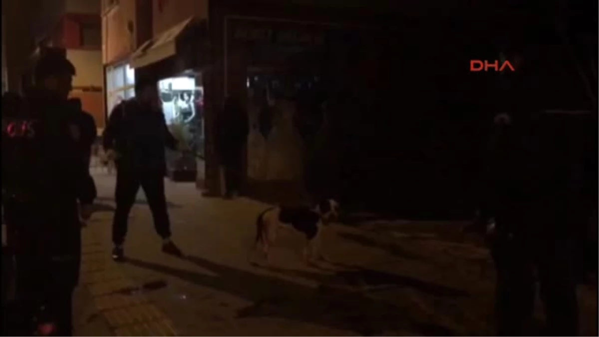 Karaman Köpek ve Sahibi, Bıçaklı Saldırıda Yaralandı