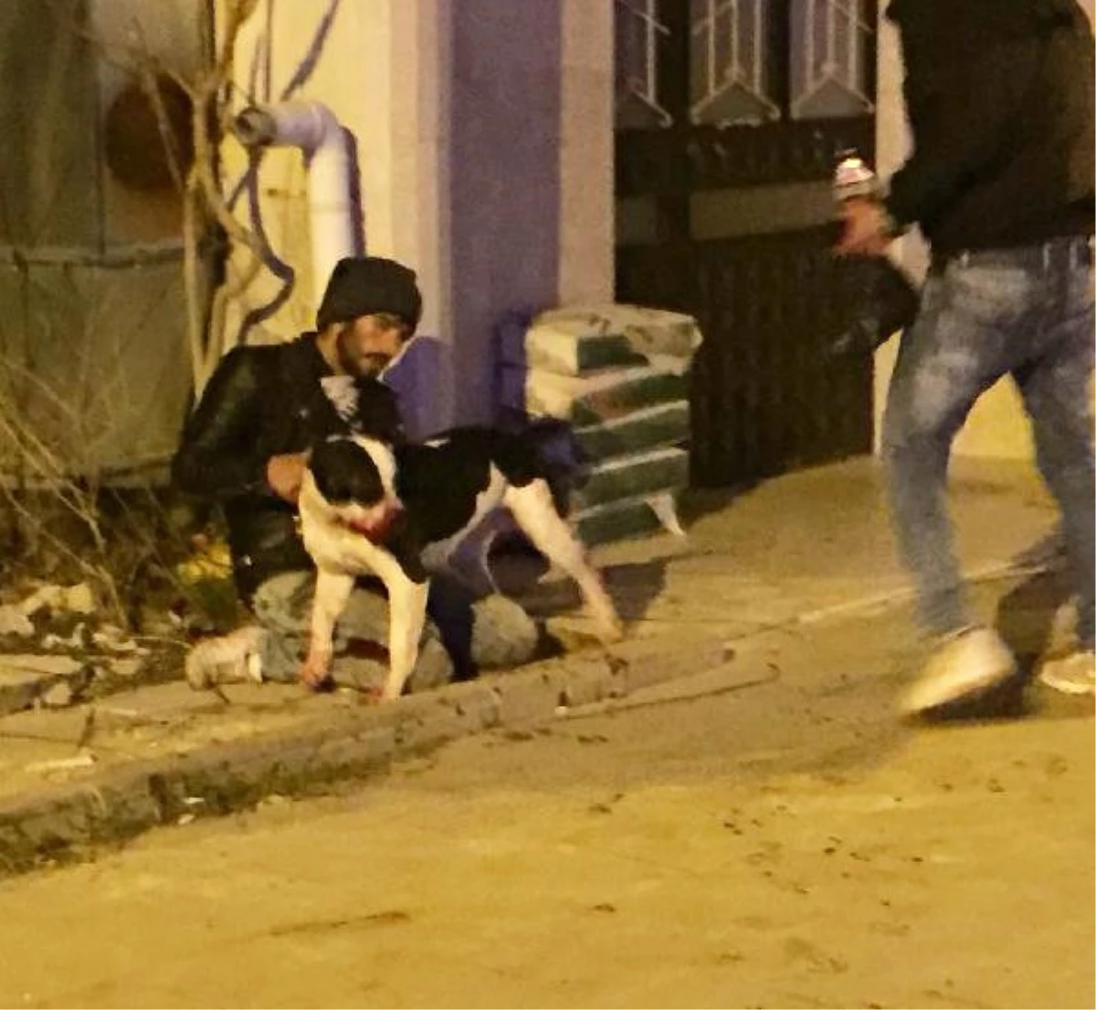 Köpek ve Sahibi, Bıçaklı Saldırıda Yaralandı