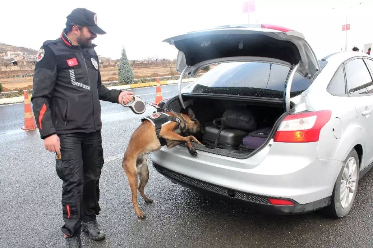 Narko Timlerin En Büyük Destekçisi Narko Köpekler