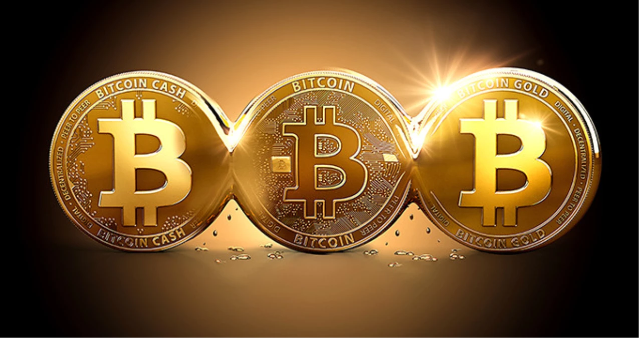 Sanal Para Bitcoin\'in Direktörü Maaşını Bitcoin\'le Alıyor