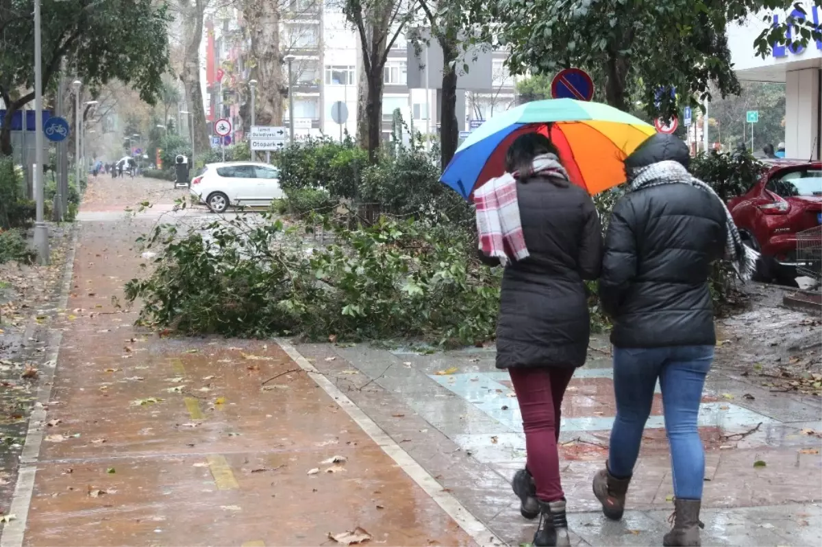 Şiddetli Lodos Çatıları Uçurdu, 15 Ev Hasar Gördü