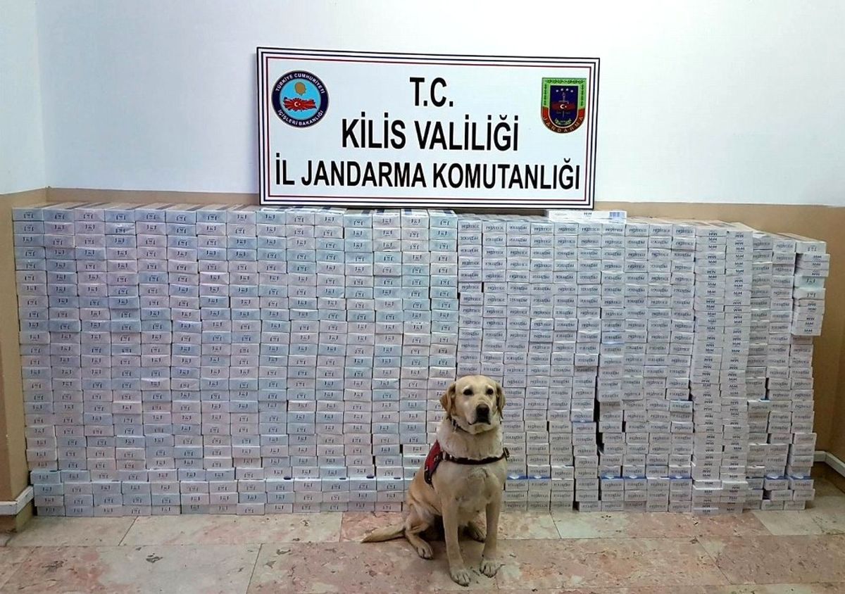 Kilis\'te 8 Bin 450 Paket Kaçak Sigara Yakalandı