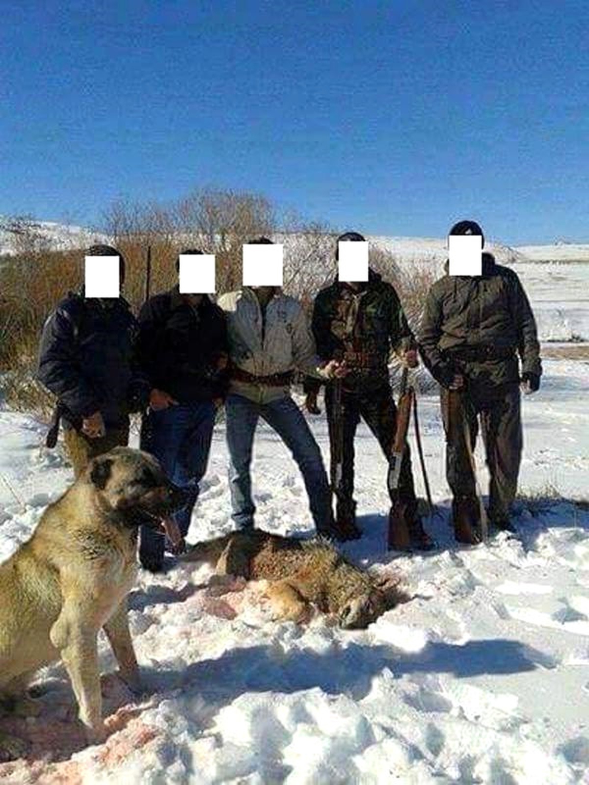 Kurt ve Yaban Keçisi Avlayıp, Fotoğrafını Paylaşanlara 22 Bin Lira Ceza