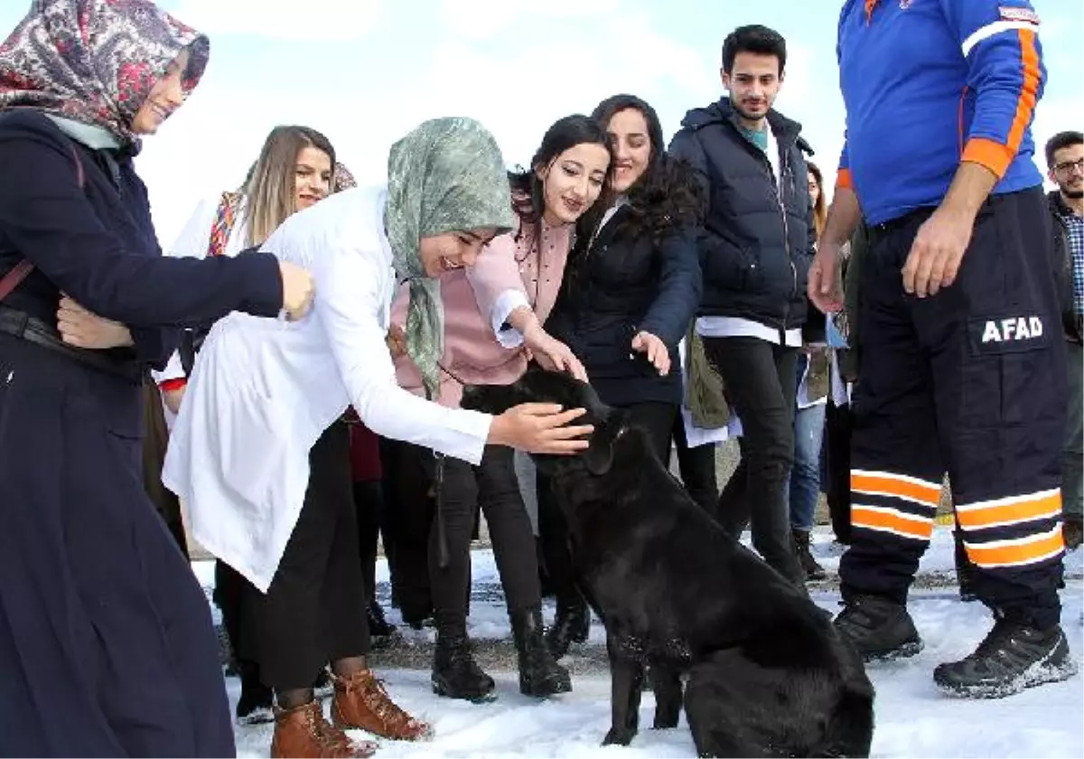 Özel Eğitimli \'Arya\'ya Üniversite Öğrencilerinden Yoğun İlgi