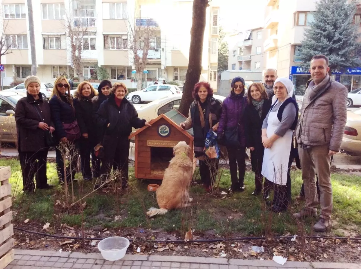 Sokak Hayvanlarına Yeni Kulübeler