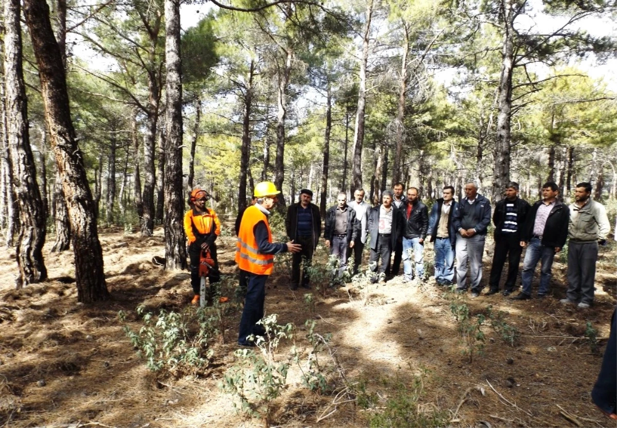 Antalya\'da Ağaç Kesme ve Boylama Operatörlüğü Kursu
