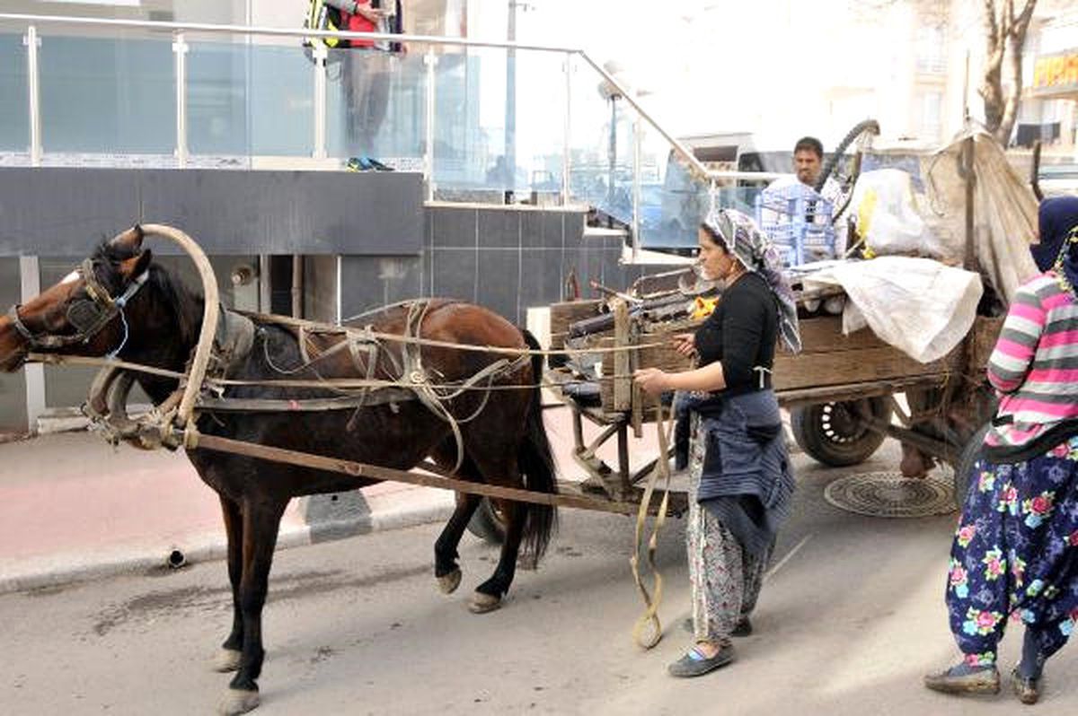 Ata Çarpmamak İsterken Kaza Yaptı