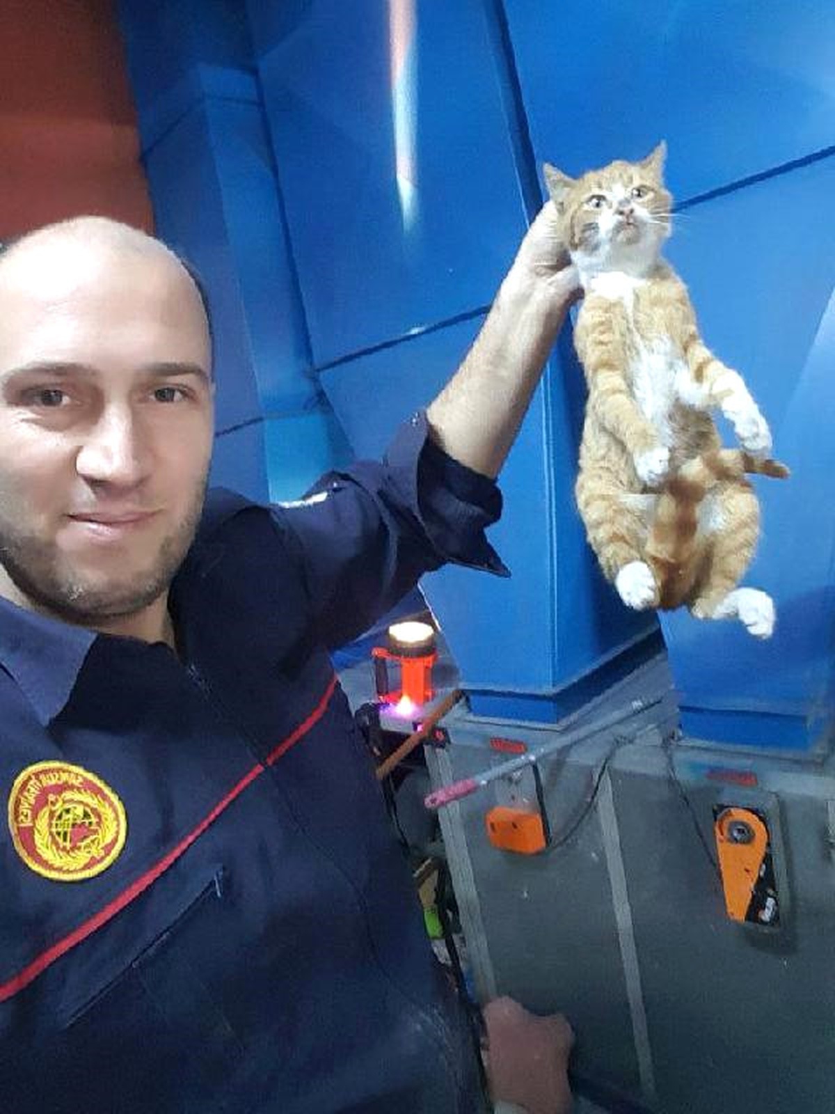 İki Duvar Arasına Sıkışan Yavru Kediyi, İtfaiye Kurtardı