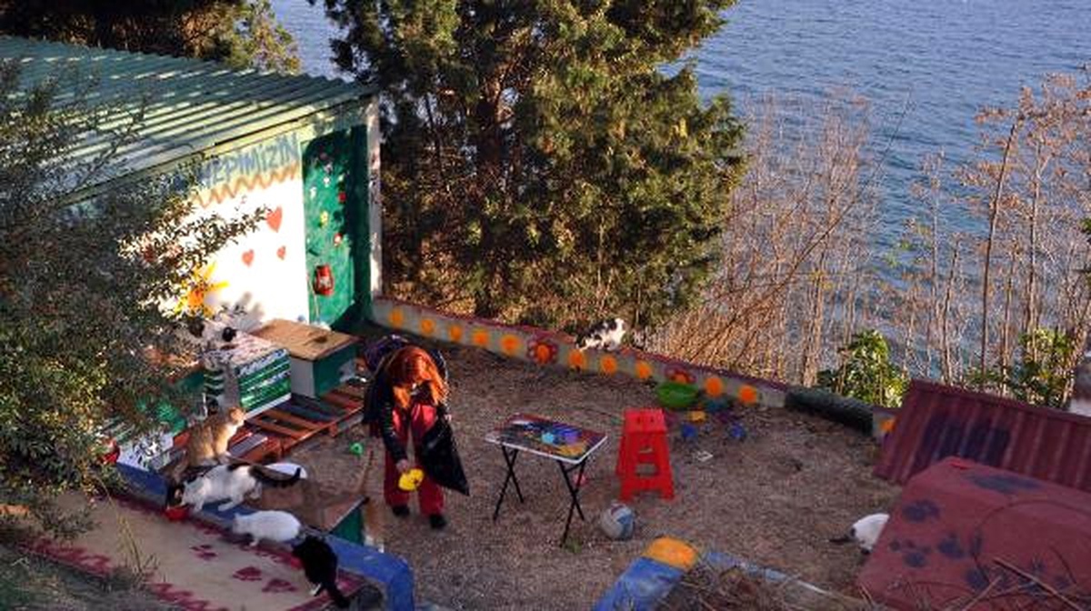 Sokak Kedileri İçin Deniz Manzaralı Barınak Yaptırdı