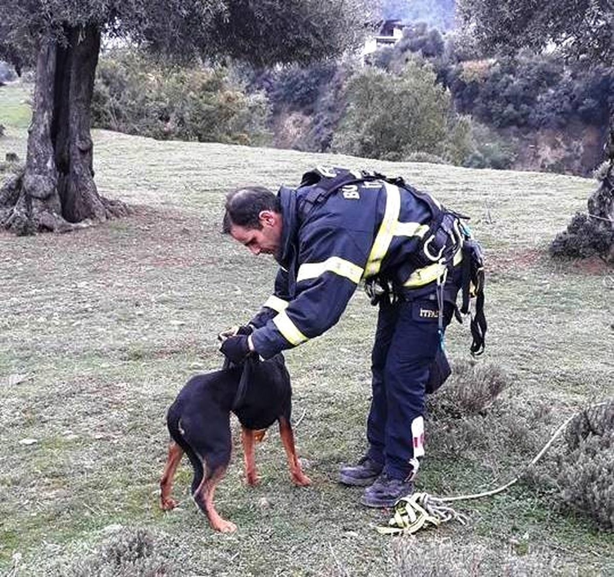 Uçurumda Mahsur Kalan Köpeğin İmdadına İtfaiyeciler Yetişti