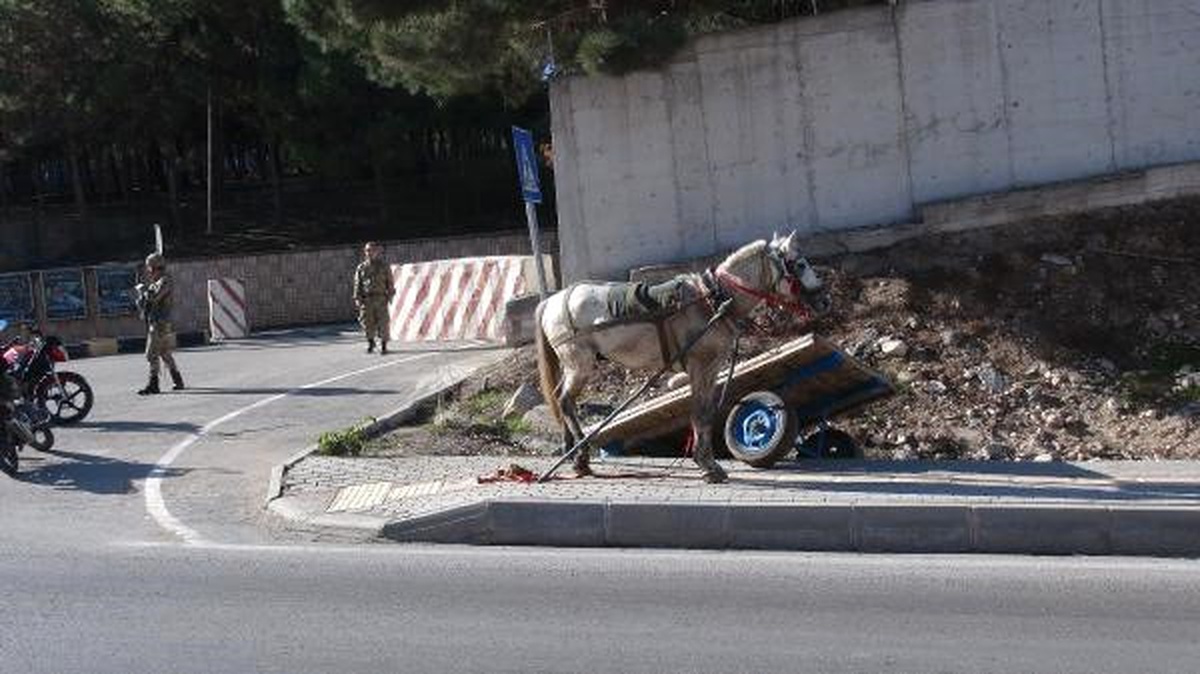 At Arabasının Üzerinden Düşen 3 Kişi Yaralandı