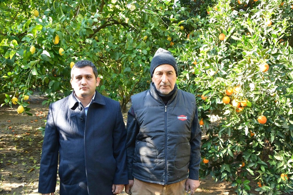 Dalaman Ziraat Odası Başkanı Tuncay; "Üretimin Maliyeti Yüksek"