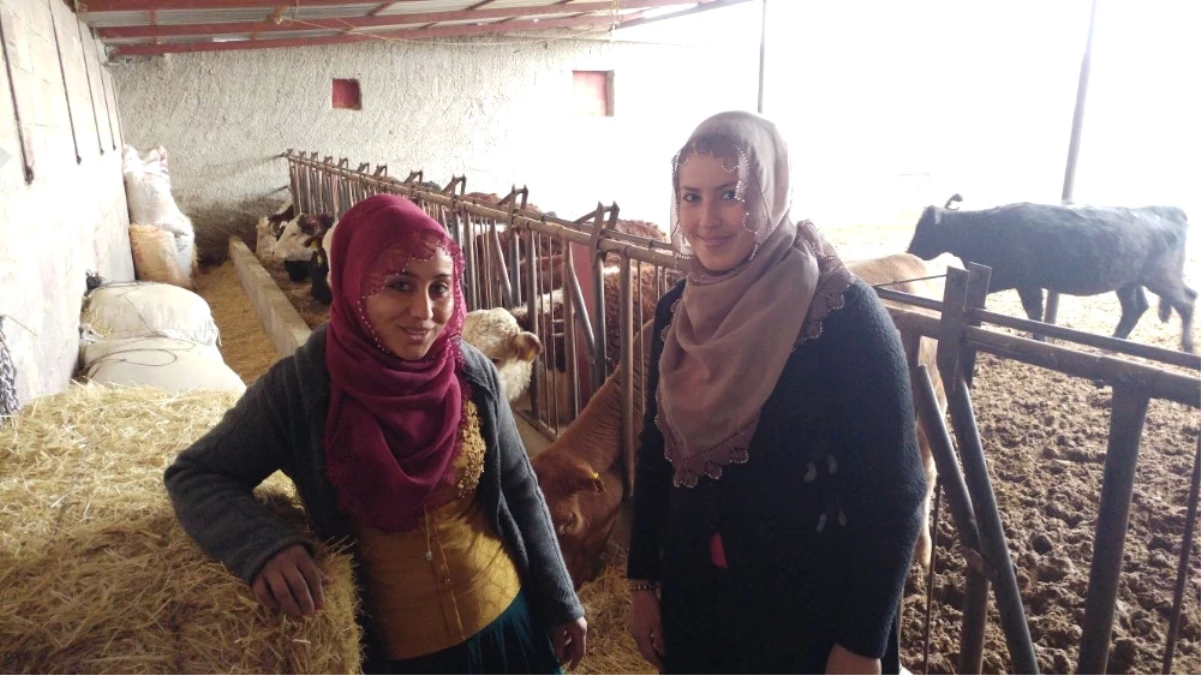 Eltiler Hayvan Çiftliği Kurdu, Kadınlara Örnek Oldu
