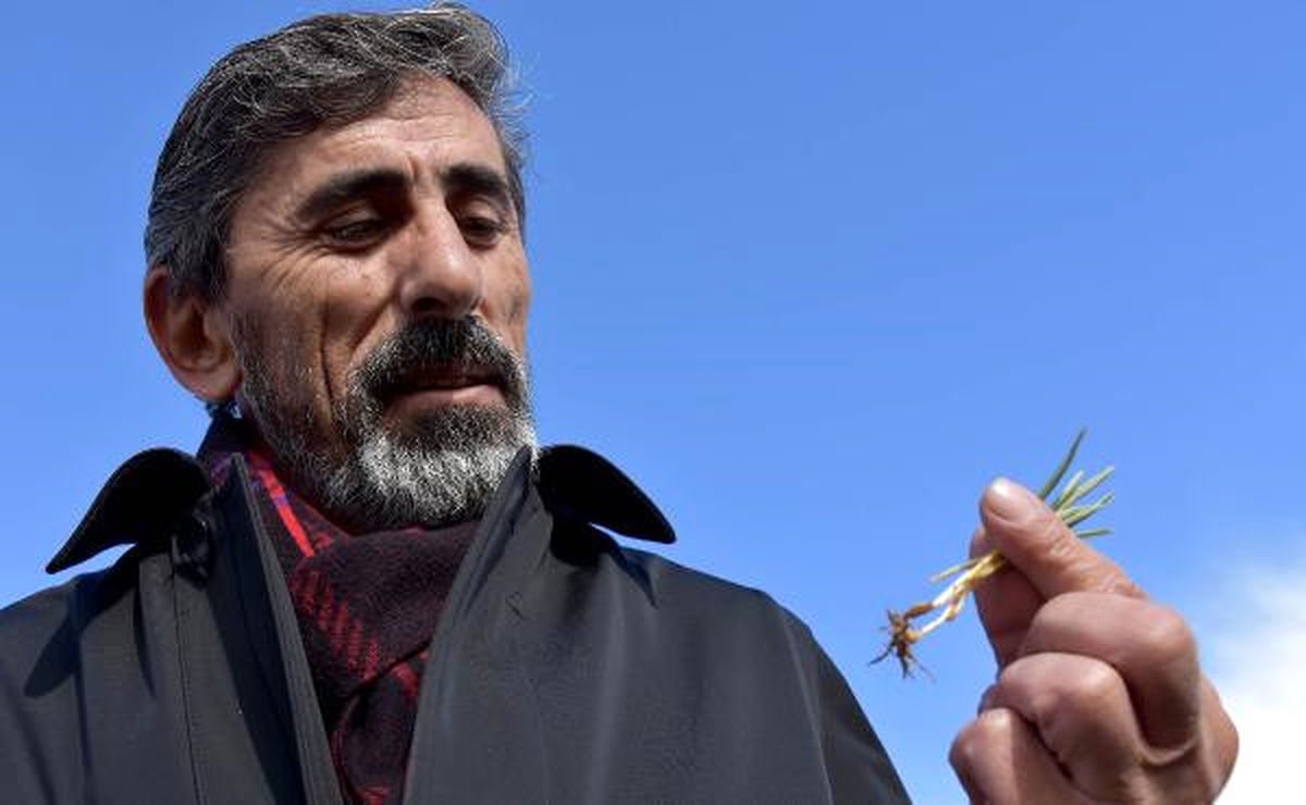Kar Gecikti, Çiftçiyi \'Zirai Don\' Korkusu Sardı