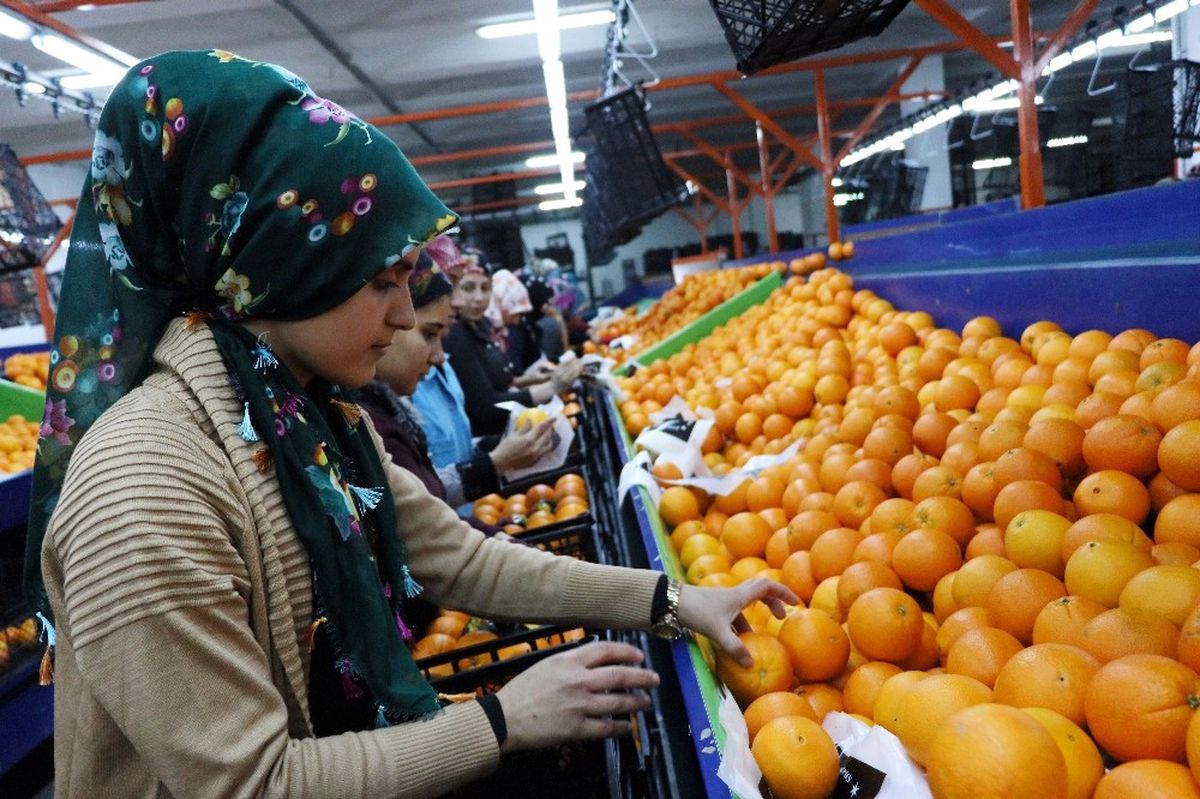 Narenciyeye Yeni Yıl Dopingi
