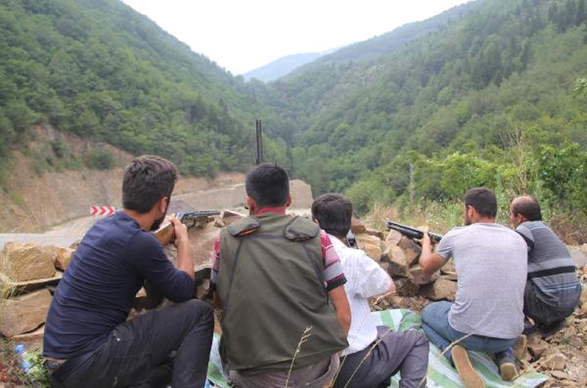 Ordu\'da Köylülere \'Avcılık Belgesi\' Şoku