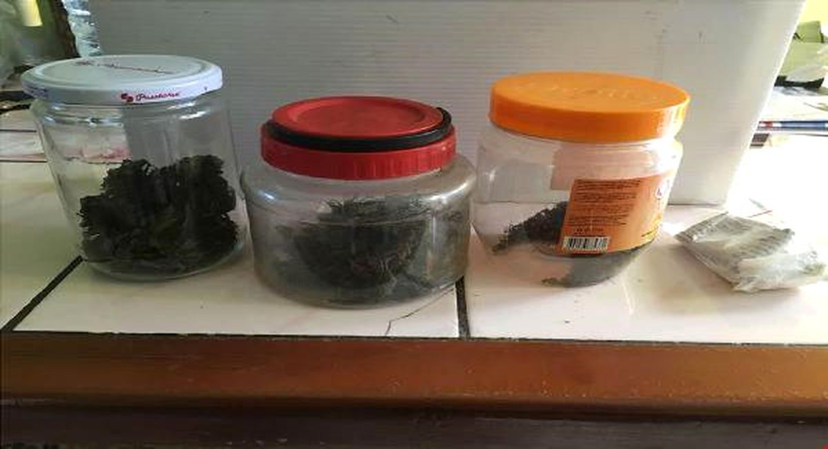 Otomobilden Tabanca, Evden Uyuşturucu Çıktı