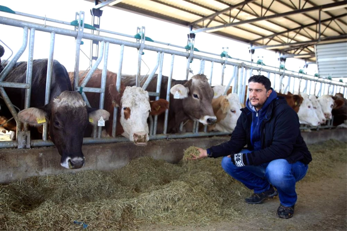 ABD\'den Memleketine Dönüp Çiftlik Kurdu, Günlük 10 bin Ton Süt Üretiyor