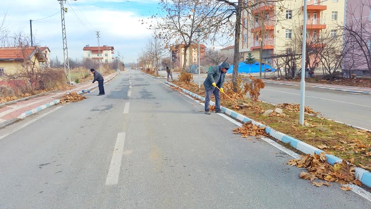 Beyşehir\'de Yaprak Temizliği Mesaisi Sürüyor