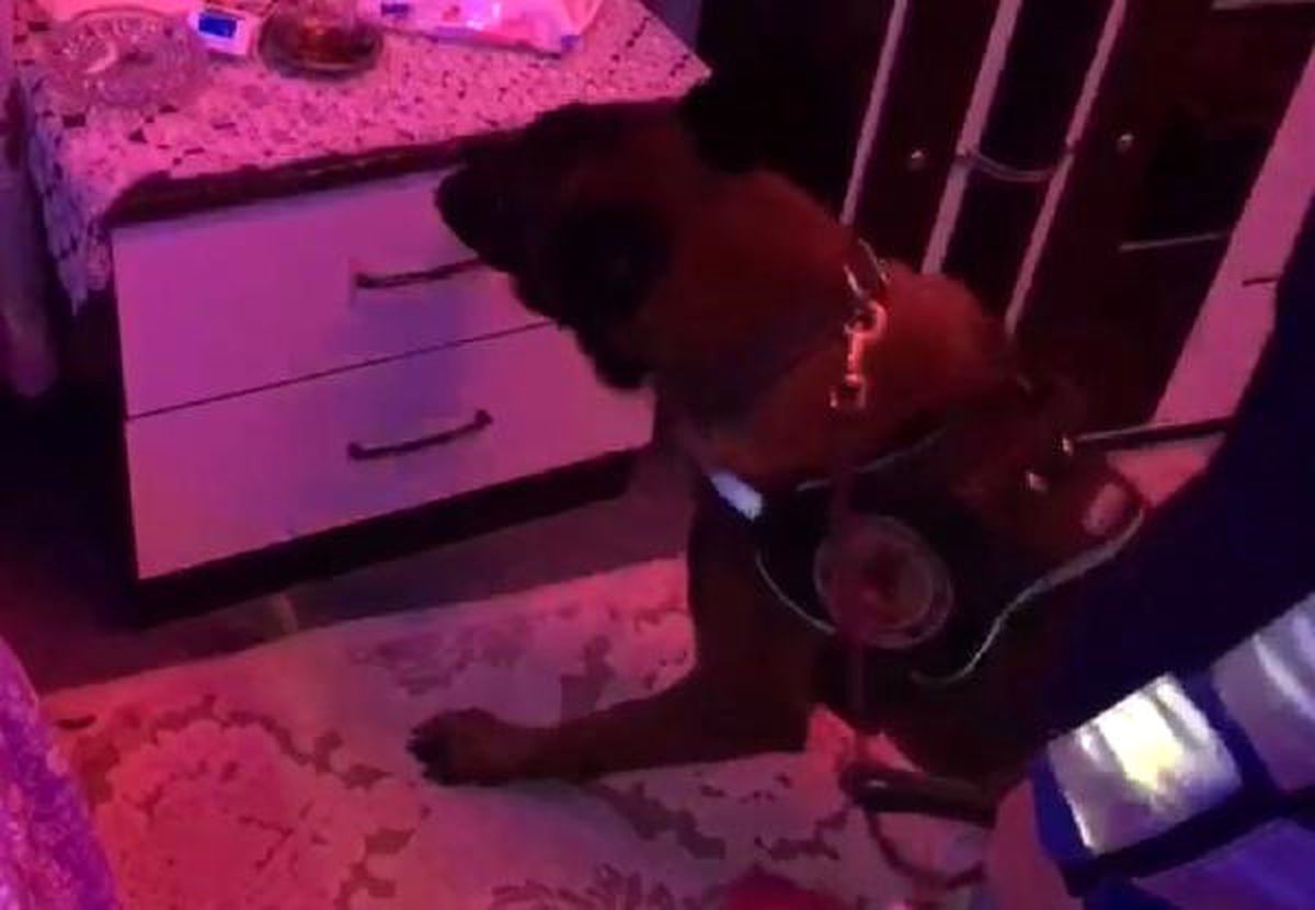 Genelevde Uyuşturucu Ele Geçirildi, 6 Kişi Gözaltına Alındı