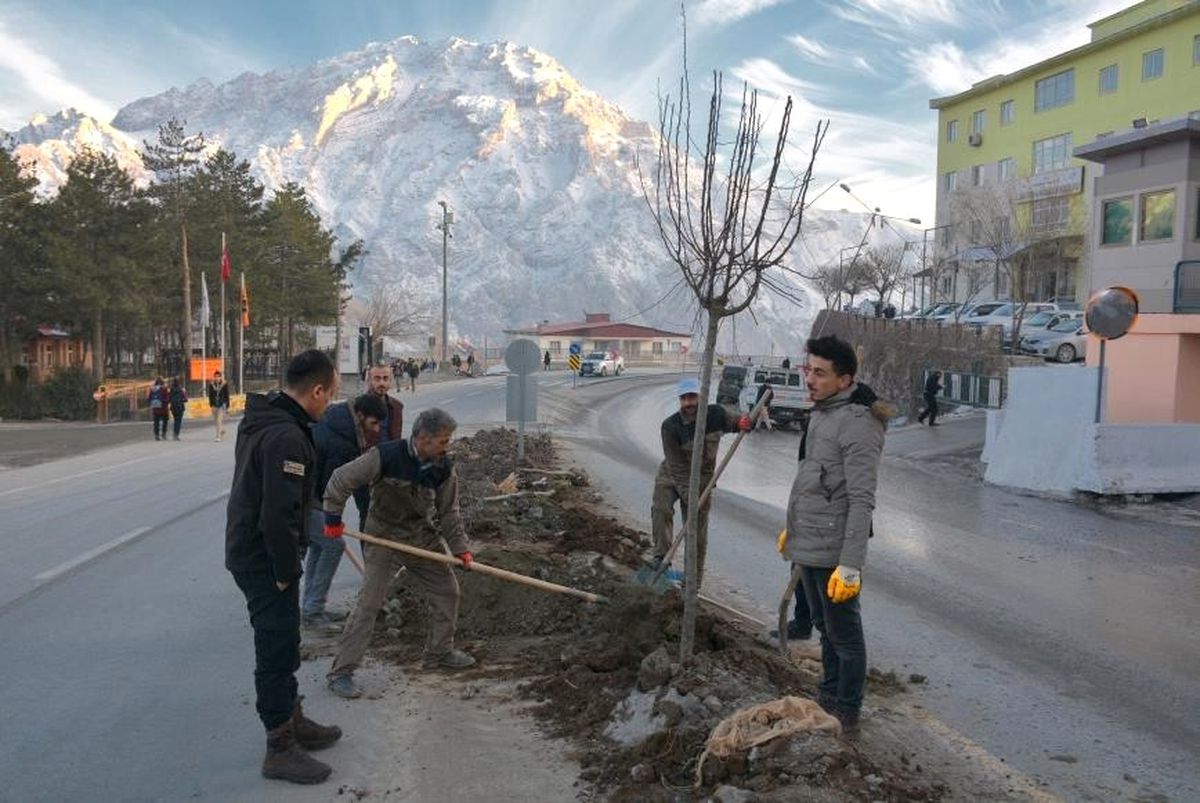 Hakkari Belediyesinden Hummalı Çalışma
