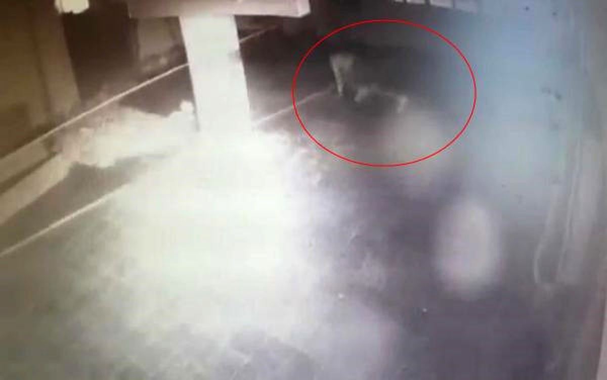 İş Yerlerine Sürünerek Giren Hırsızlık Şüphelisi Yakalandı