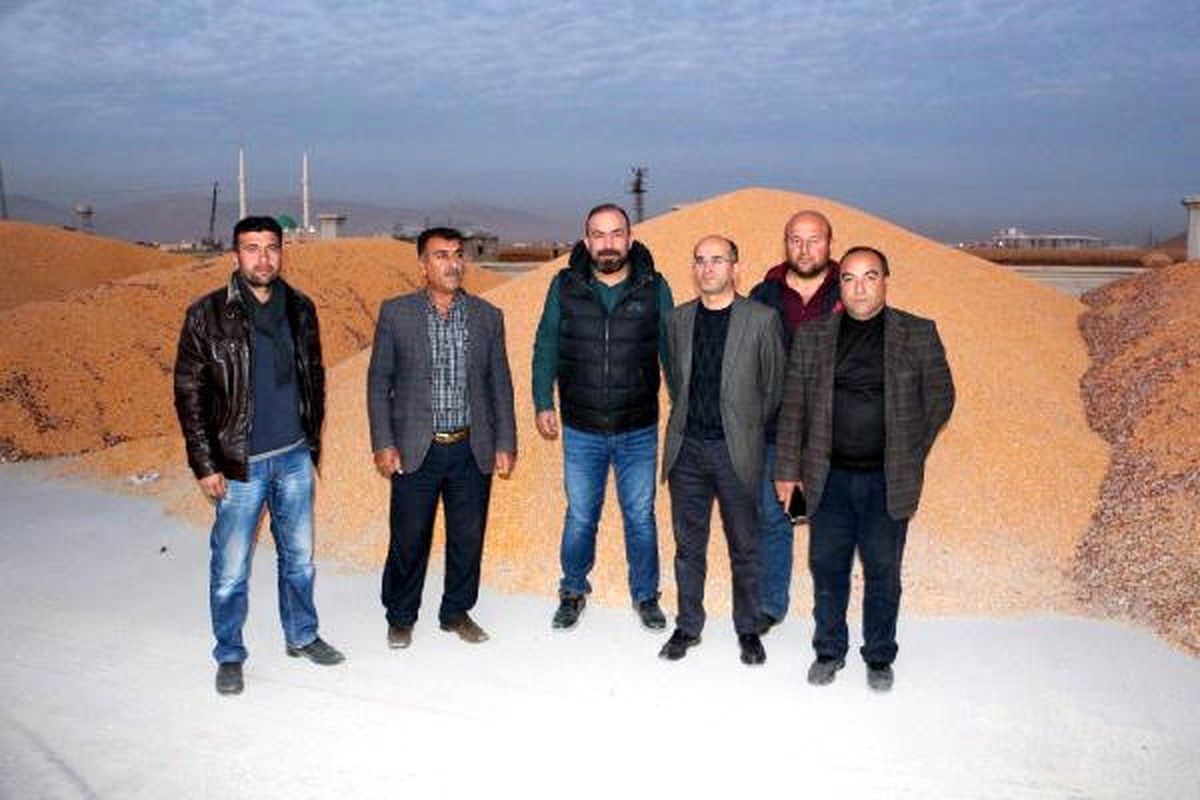 Kızıltepe\'de Mısırın Fiyat Kargaşası