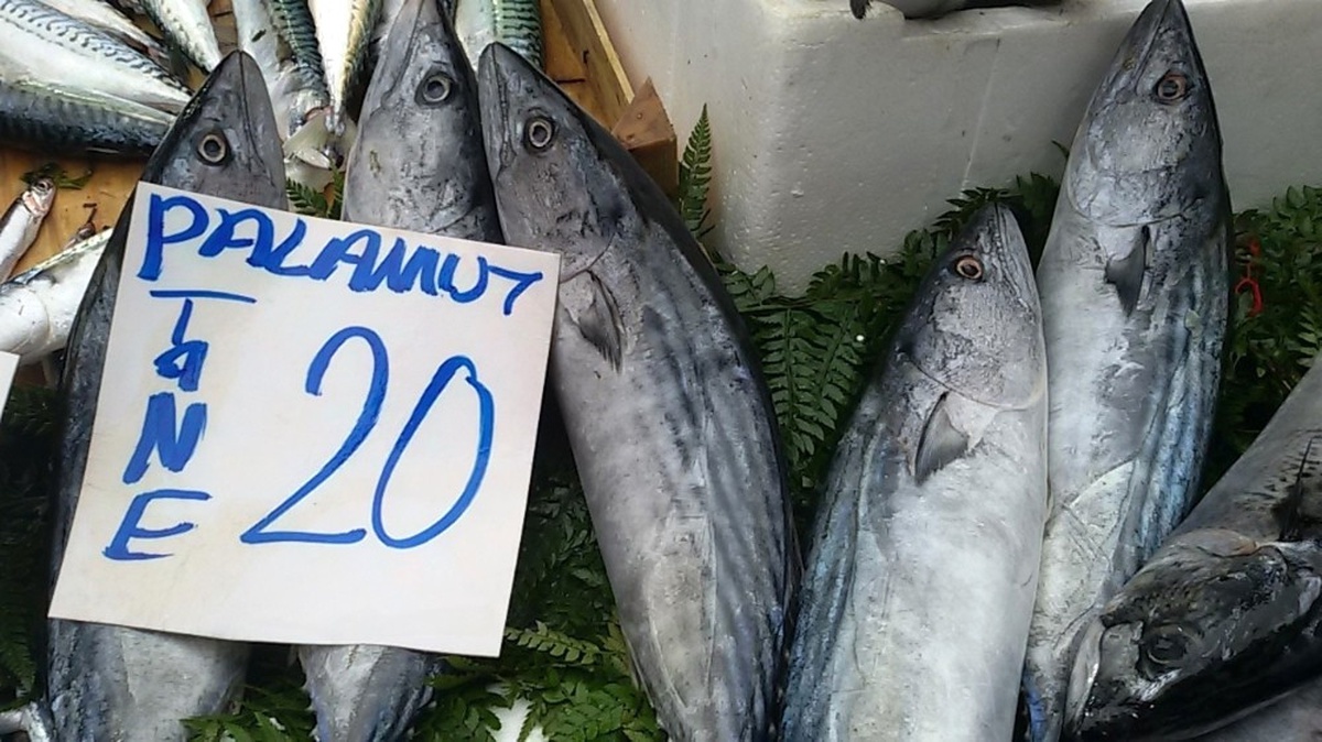 Palamudun Fiyatı Cep Yakıyor