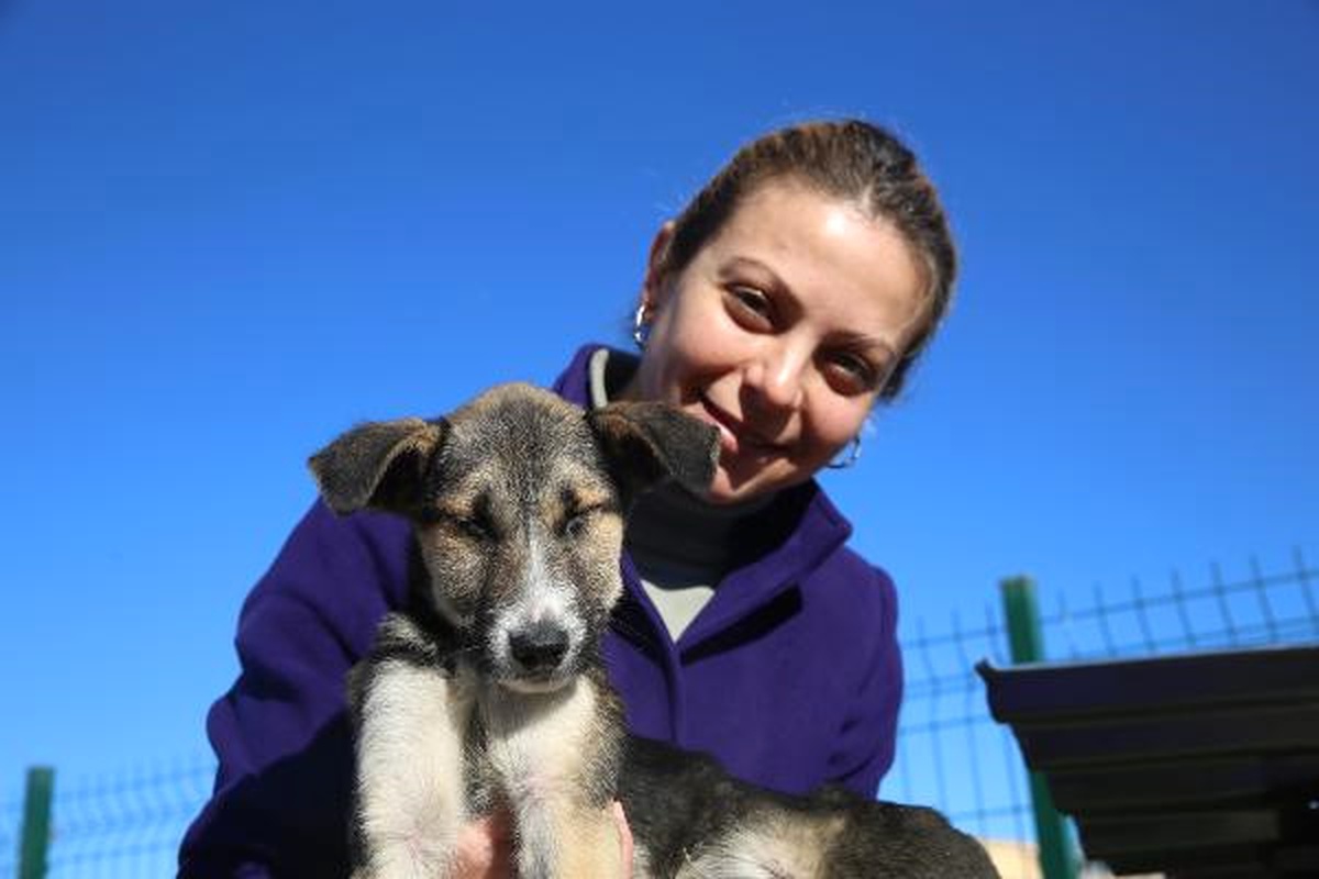 Taş Ocağına Bırakılan Yavru Köpekleri Barınağa Kavuşturdular