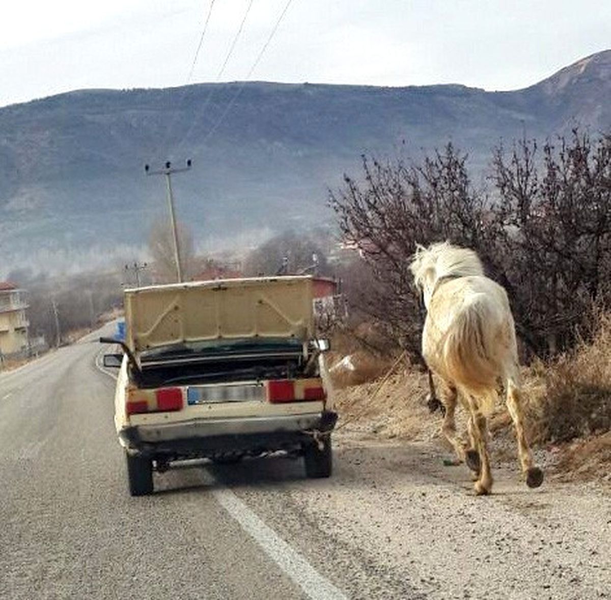 Vicdansız\' Yolculuk