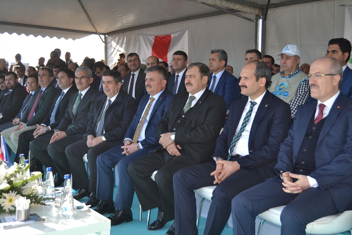 Ayvalık\'taki Cennet Koyu Ağaçlandırılıyor