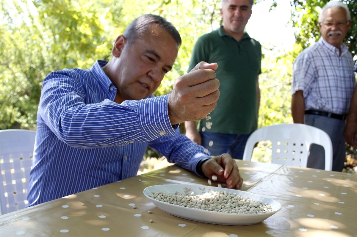 Çandır Fasulyesi Şenliği Konyaaltı\'nda
