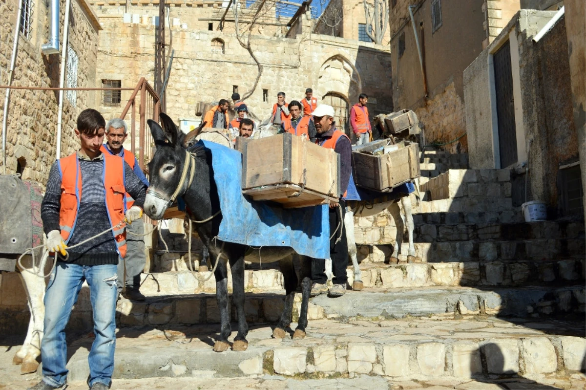 Kadrolu 3 Eşek Törenle Emekli Edildi