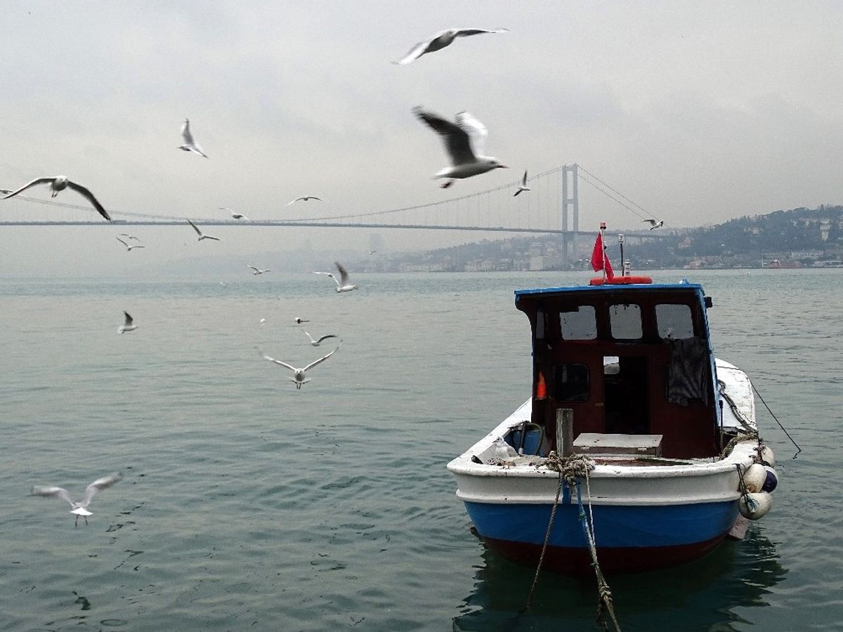 Kışa Hazırlanan Boğaz\'dan Eşsiz Manzaralar