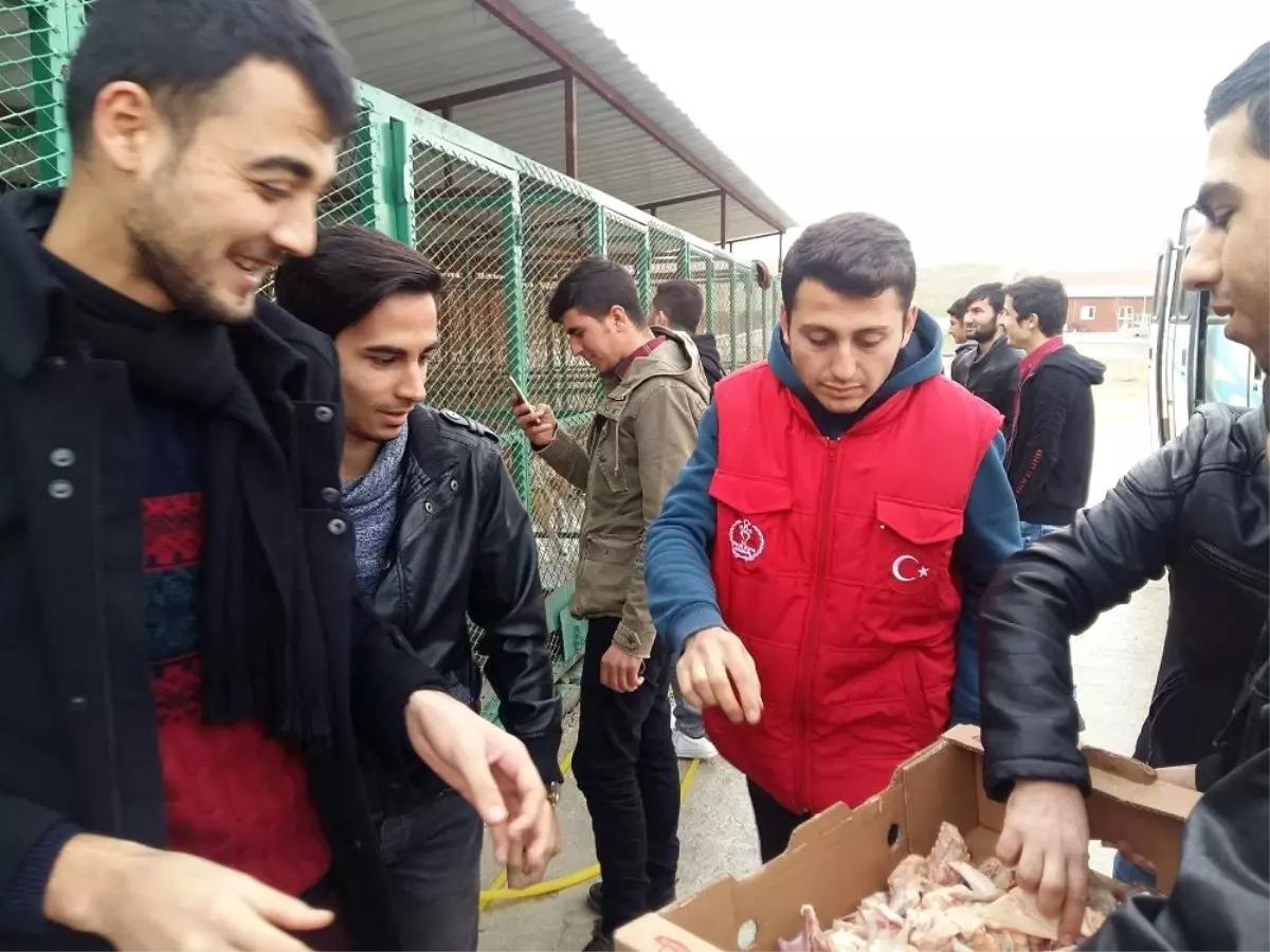 Yurttan Artan Yiyecekleri Kyk Öğrencileri Hayvan Barınağına Götürüyor