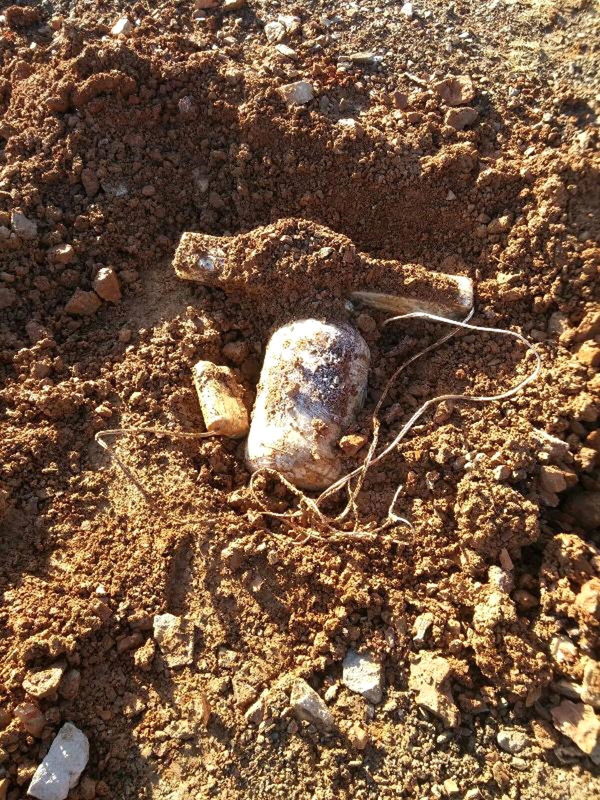 Bitlis\'te PKK\'nın Araziye Tuzakladığı Patlayıcılar İmha Edildi