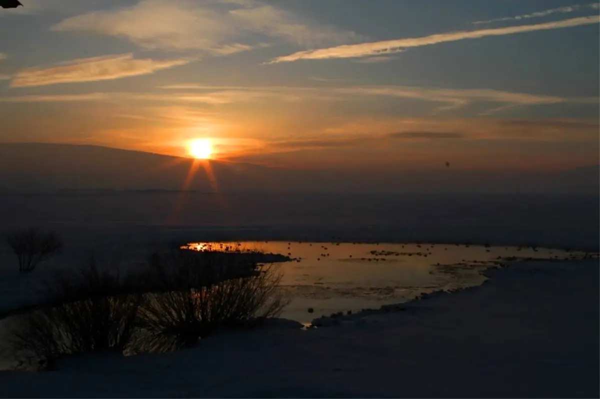 Gün Atımında Ördeklerin Dansı