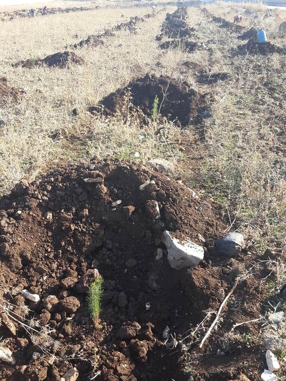 Osb\'de Yeşillendirme Çalışmalarını Hızlandırıldı